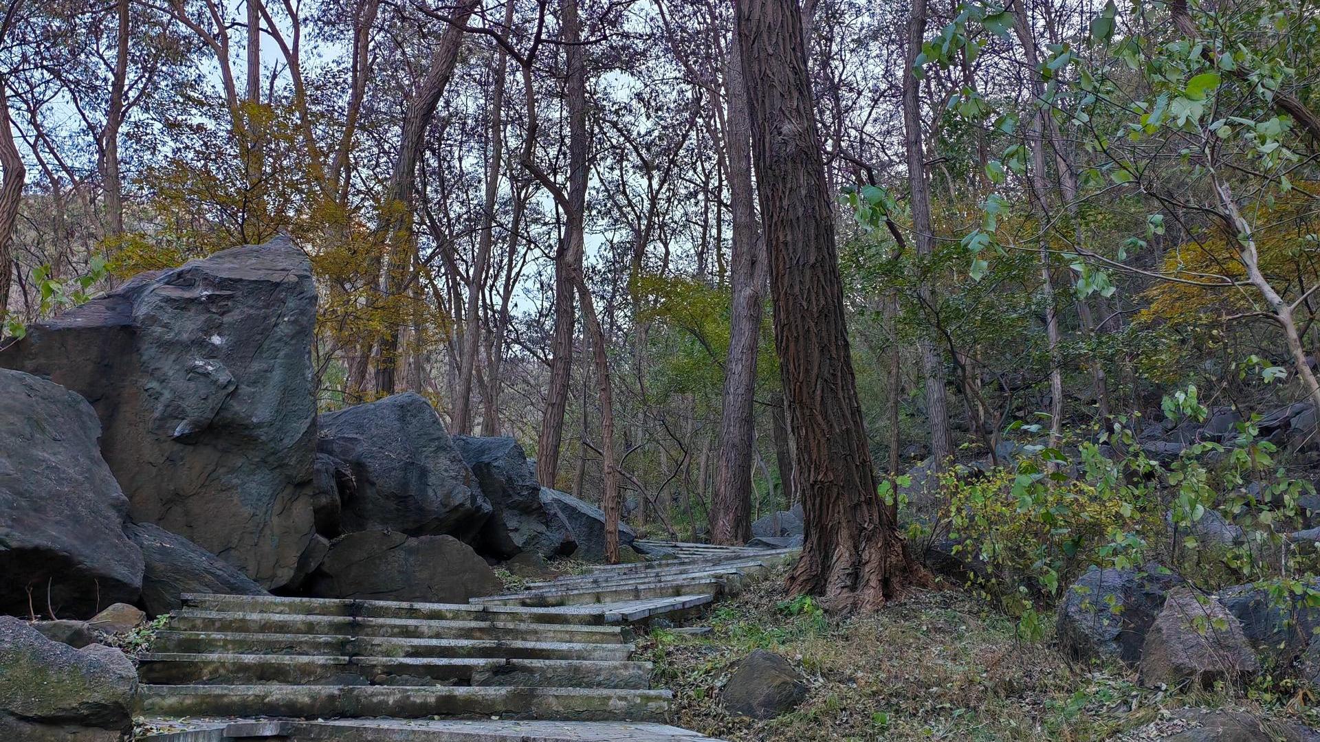 触动心灵深处的人生句子，问含深意，引人深思！