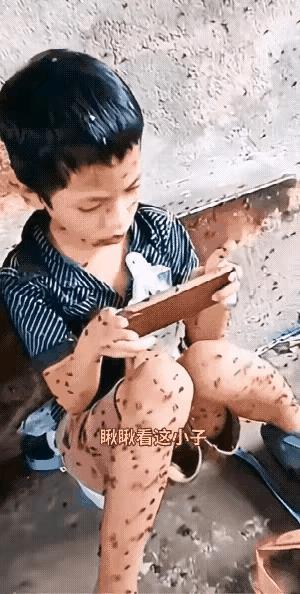 这孩子玩游戏上瘾了，背着家长，躲在猪圈里玩手机，也不管这里环境的好坏，浑身落满了