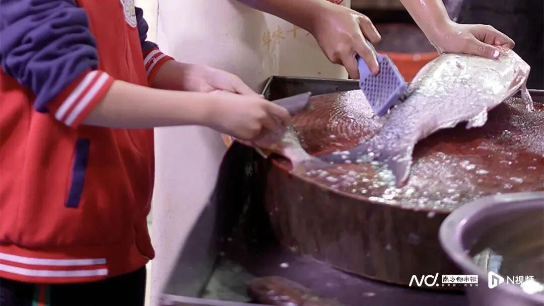 佛山三童鱼档刮鳞走红 潮汕家庭秋假劳动课引共鸣