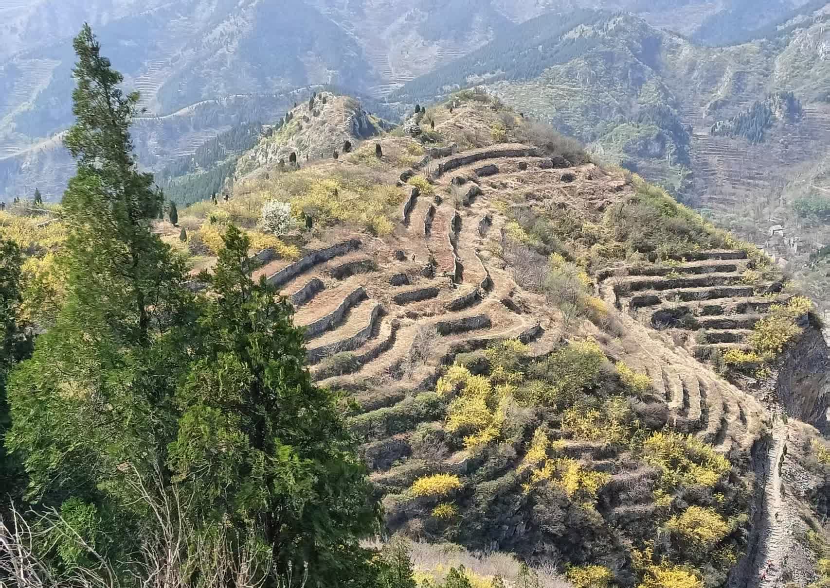 男人手里握着三张王牌，女人这辈子都离不开。
动心的男人可不是那种温柔体贴、千依