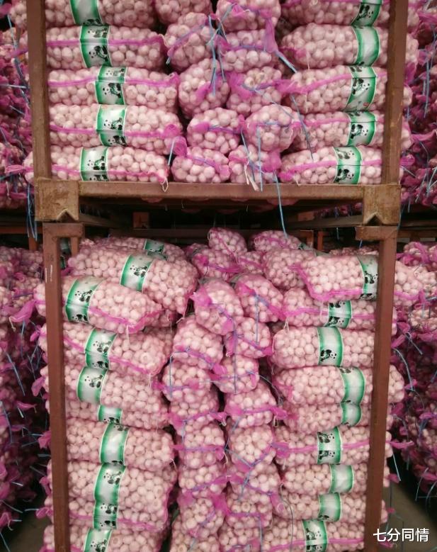 大蒜批发商一年赚一亿