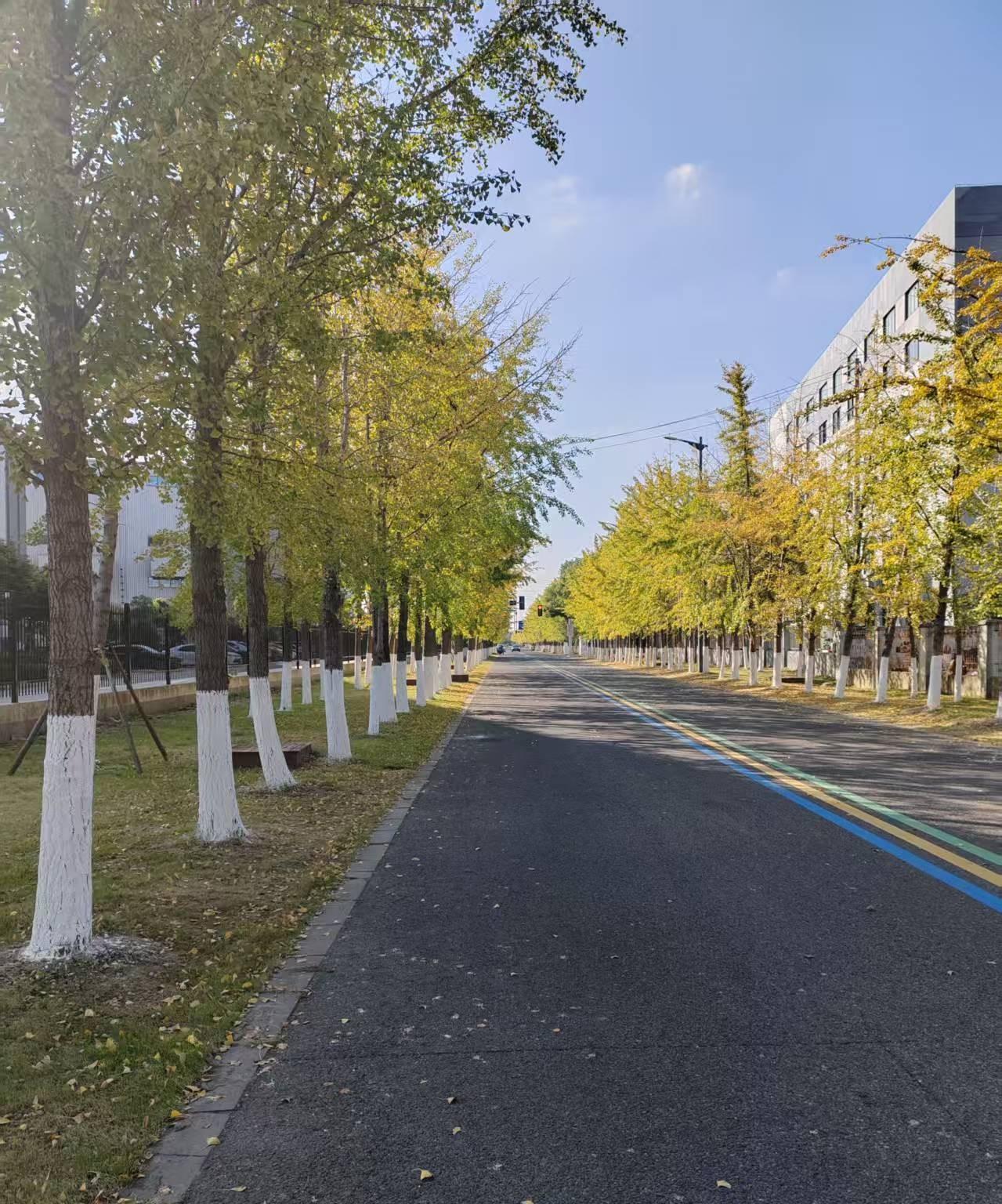 #可以分享一张秋景树叶的的照片吗#著名景点取景容易雷同，除了可以从新的角度和视角