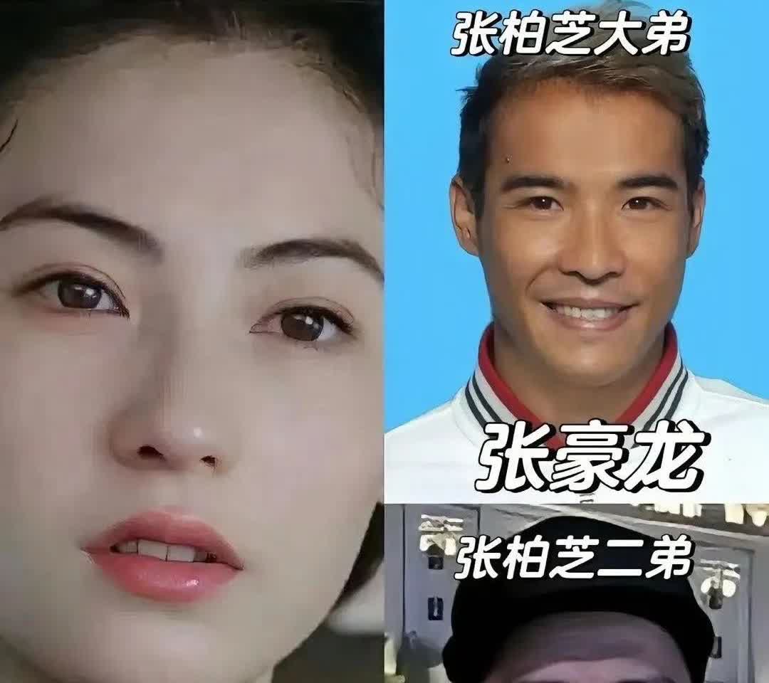  美貌天赋点满！张柏芝凭与生俱来的魅力，诠释什么叫老天喂饭