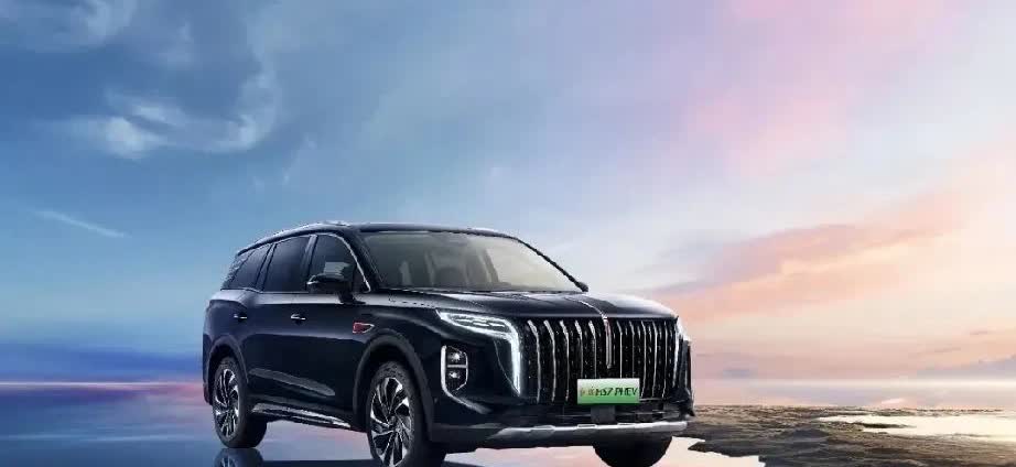 大家发现没有？近几年选择新能源汽车的人越来越多了，比如2024年吧！有25%的人