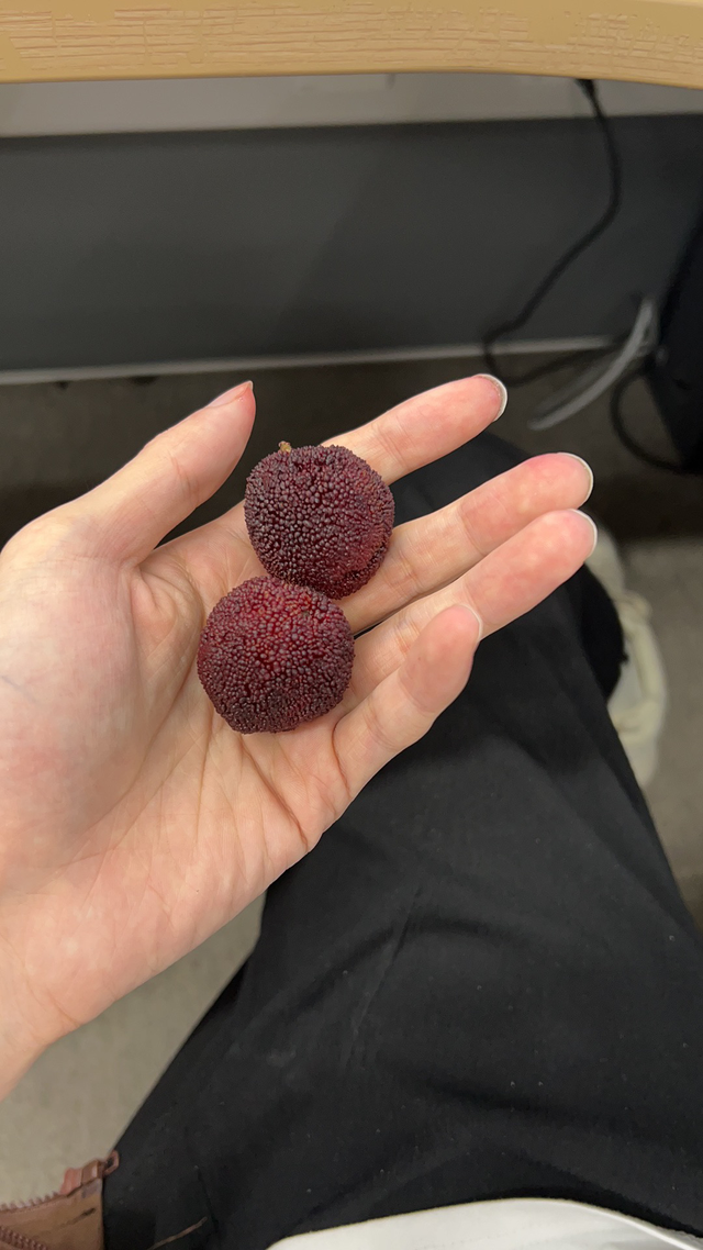 速腾超越版现在多少钱了
都说超越版13万落地？你们都是在哪买的呀？