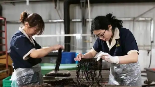 朝鲜向中国每年出口20亿，都是些什么商品？说句你们不敢信的，它出口的很多商品，普