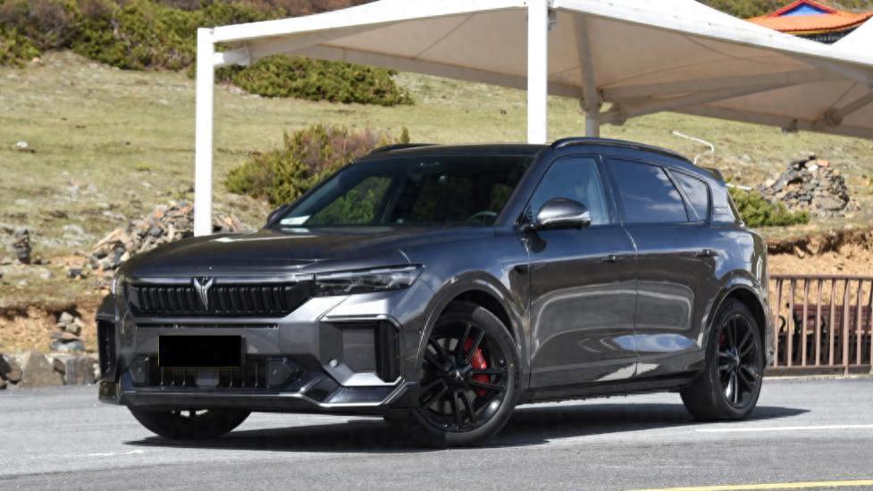 新能源驾控SUV，20多万四驱空悬开回家，试驾岚图FREE 318