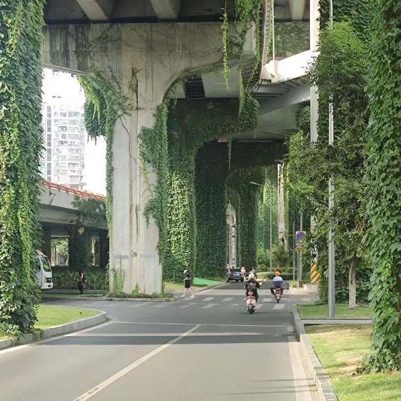 我发现一个共同的特征，
那些在网上喷济宁内环高架没用的，
基本上都是外地人，
说
