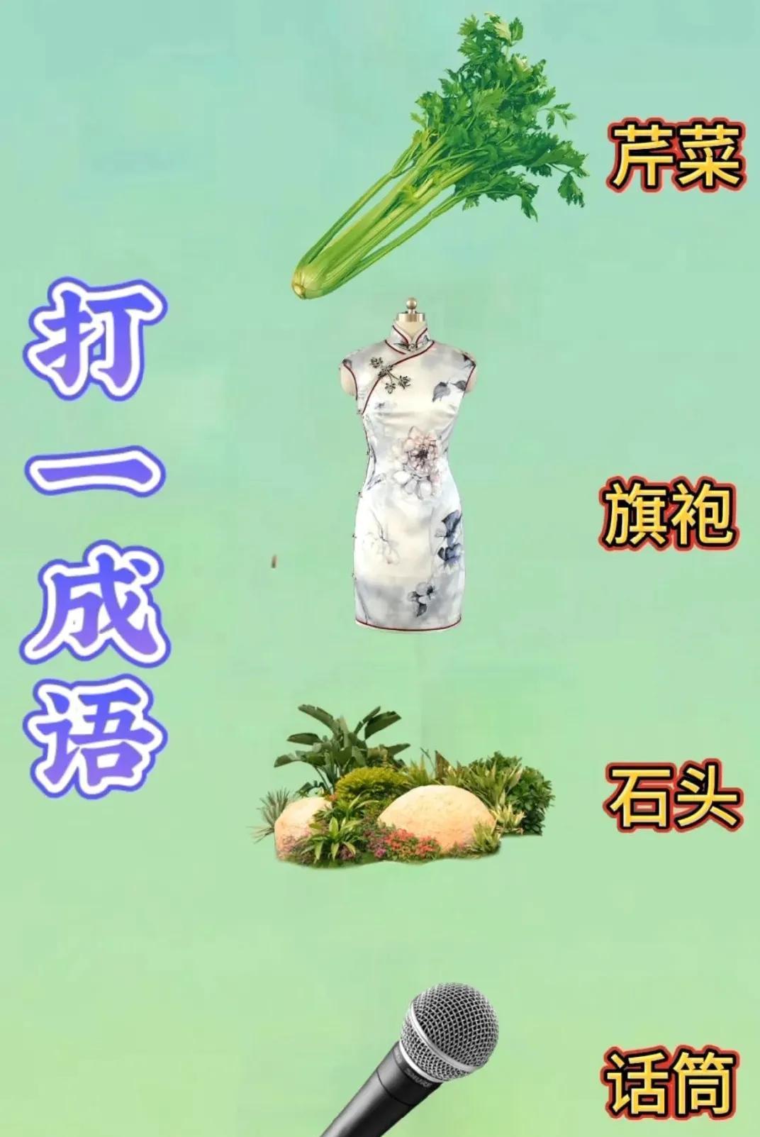 《家人们快来！芹菜、旗袍、石头和话筒的成语谜题，我实在想不出啦！》
它们组合起来