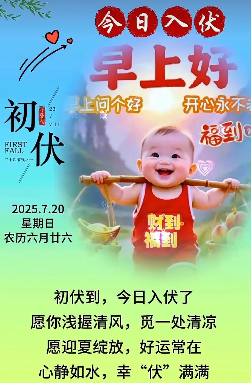 初伏到，心静如水，美好不止今夏。