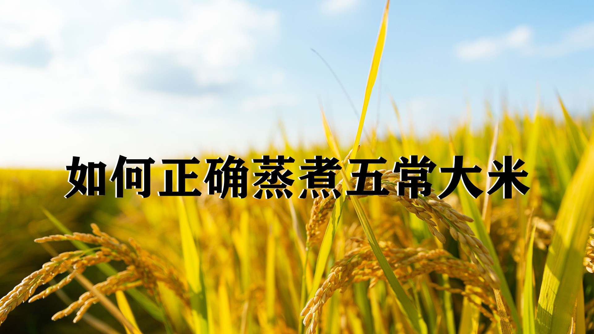 如何正确蒸煮五常大米