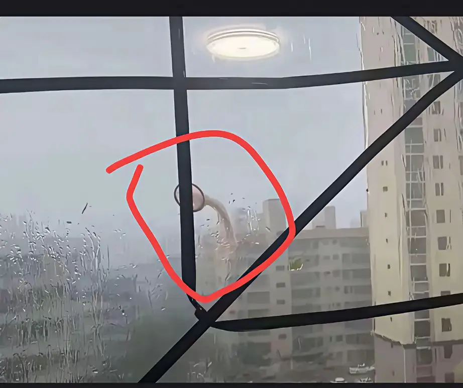 作为城里人，文明一点不好吗？都吹到我家窗上了，我要怎么取下来啊
