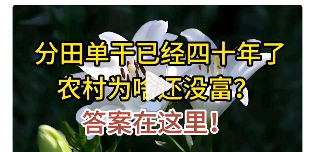 分田单干只是让你吃饱饭。
如果一家人只耕作一亩三分地，干半年闲半年就能月入百万，