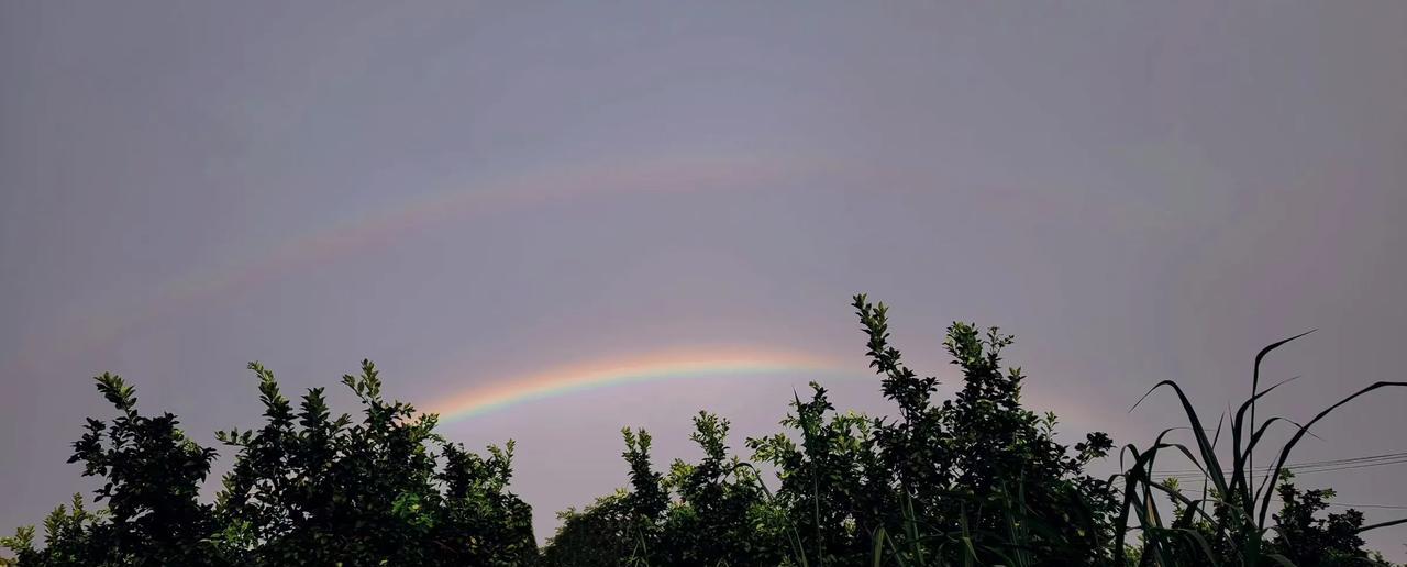 《雨后双虹兆喜来》
雨霁天开见彩桥，双虹跨岸韵光韶。
人言此景祥符至，下半年中好