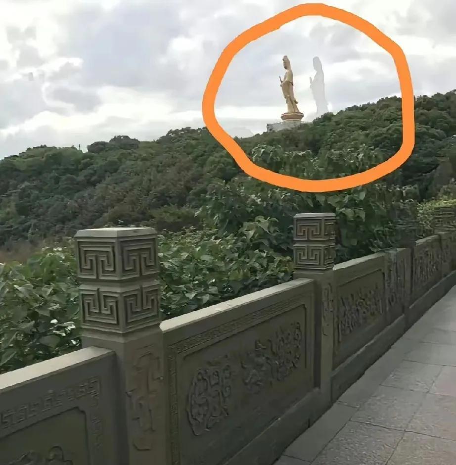 普陀惊鸿：当自然执笔，绘就人间奇迹
踏入普陀山的瞬间，山海间的灵气便裹挟着千年禅