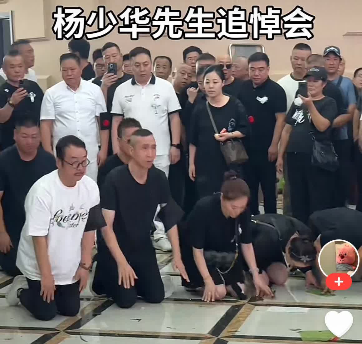 不懂就问：杨少华大师的葬礼，好多人戴红花，是啥意思啊？

按说丧事要戴花也是