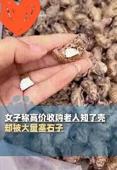 陕西铜川一女子收购知了壳，本是好心加价，照顾老头老太太，结果却被狠狠背刺。325