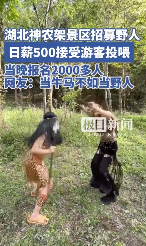 神农架景区“野人”NPC招聘火爆，日薪500元，近4000人报名