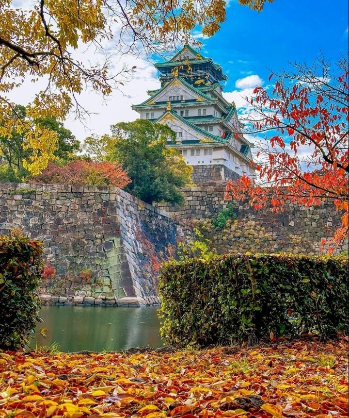 麒麟杯：日本-加纳
有球迷和我说什么日本队能击败巴西，实力雄厚优势巨大，加纳队旅