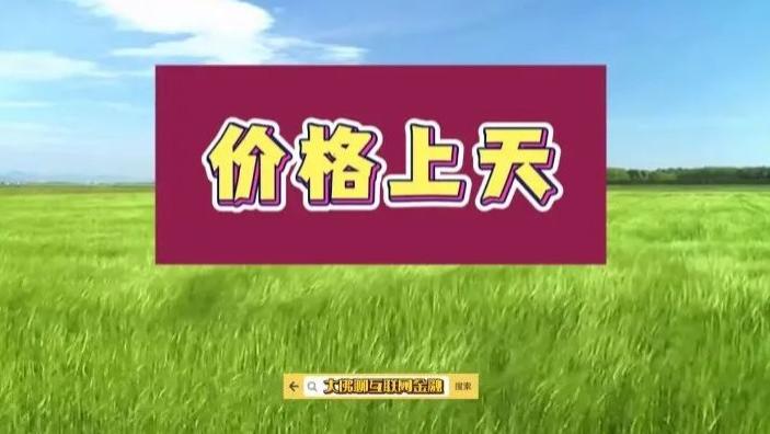 这价格，上天了