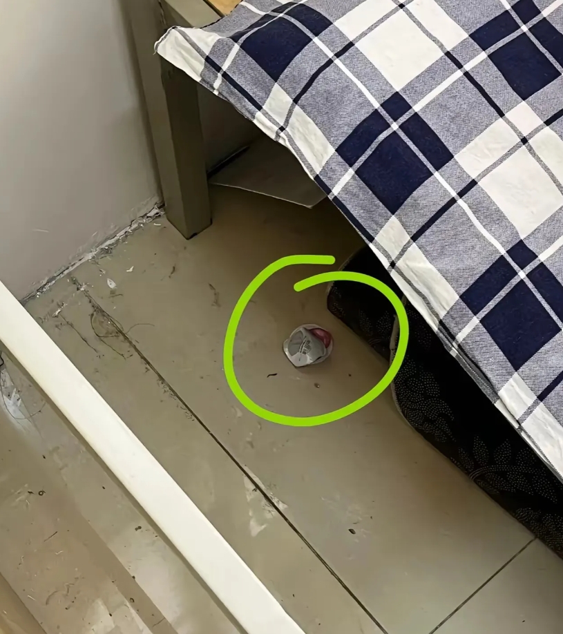 今天去宿管阿姨房间借针线，居然看到她床头有这个