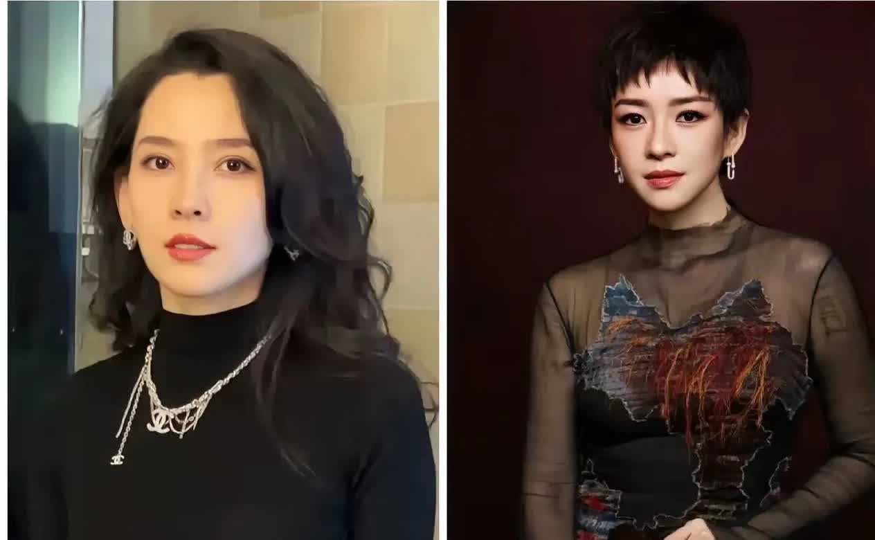 汪峰的眼光还停留在章子怡的审美上，森林北真是章子怡年轻时候的替身，章子怡如今46