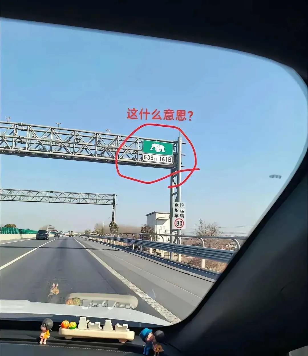 网友：高速上看到的，这是什么标志呢？