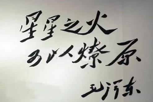 有一种火
是希望之光
有一种火
是昙花一现
两种火
一种是长久的力量
一种是短暂