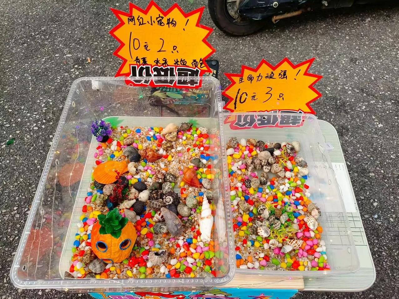 没想到真有粉丝去现场看我摆摊了，真是尴尬。
今天晚上我因为要出去玩，所以就出摊早