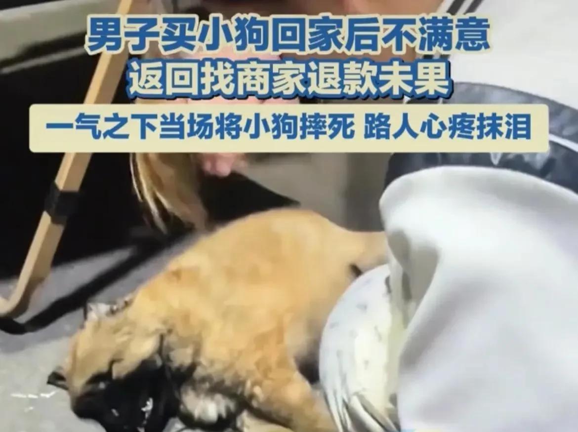 广西柳州，男子在集市上看中了一只狗狗，他当时对狗狗的颜色和品相，相当满意，便花3