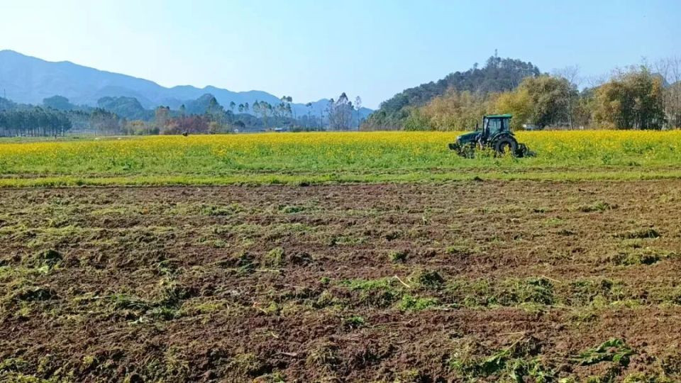 再见，花海！你好，良田！