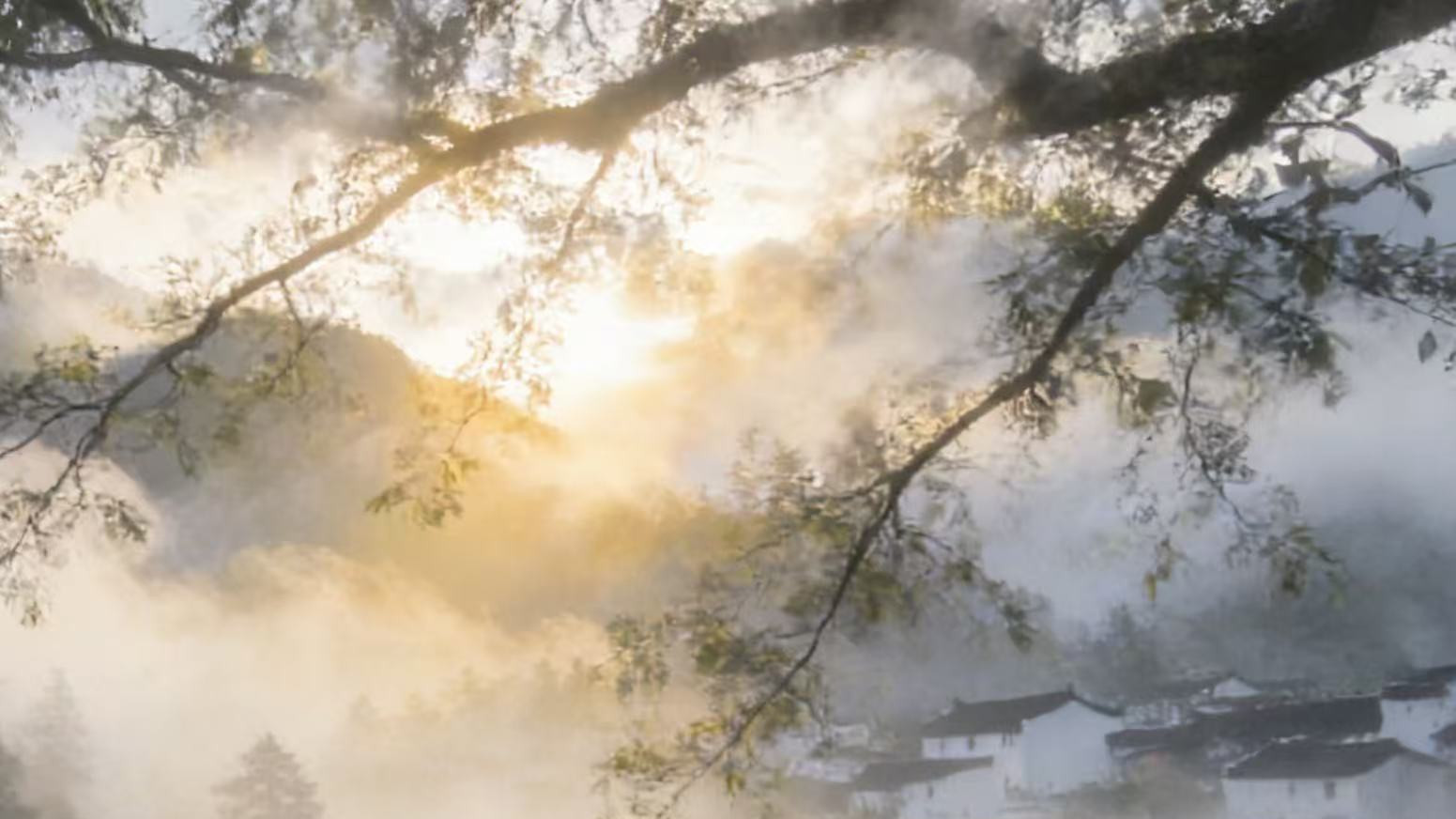 为建公益学校搬迁，却遭“1800万合同骗局+6000㎡厂房违法强拆”！山西吕梁中阳县公司的双重劫难