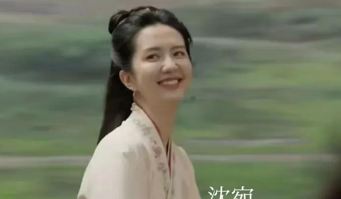 《藏海》中最单纯的女人与最阴毒的女人，都在平津侯庄芦隐身边。
沈宛是那个最单纯的