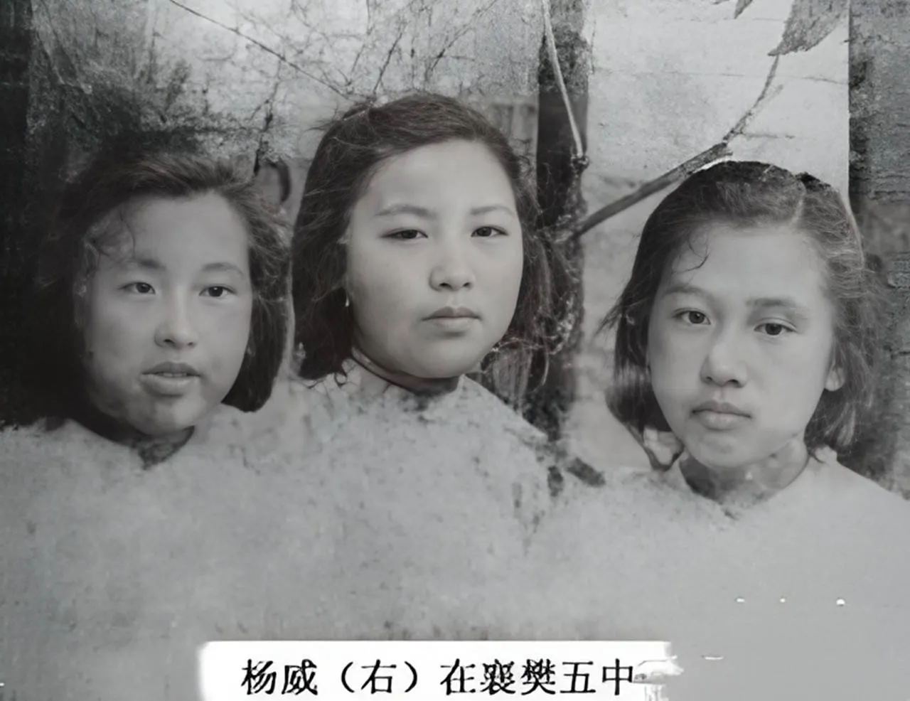 1941年，抗日女英雄杨威不幸被捕。被害前，残忍的敌人剥光她的衣服，只留一条短裤