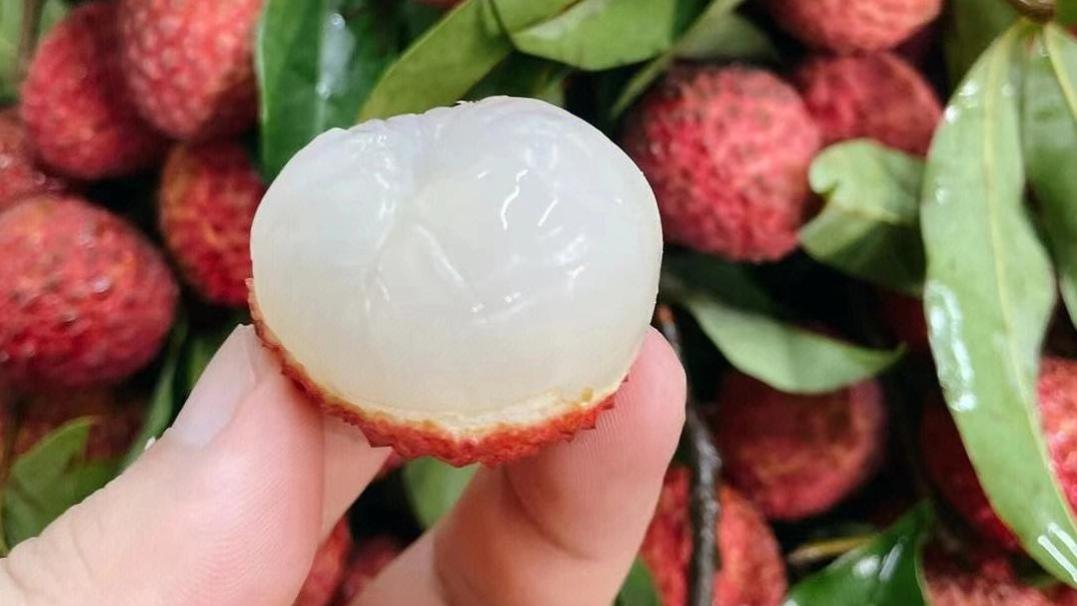 妃子笑只能排第5？细数最好吃的5个荔枝品种，挂绿排第3