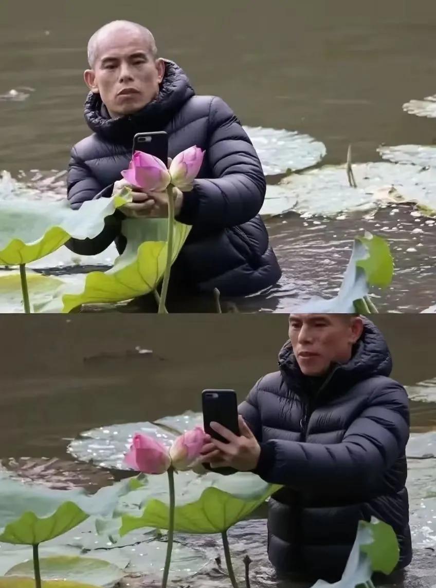 没长焦拍不了荷花？