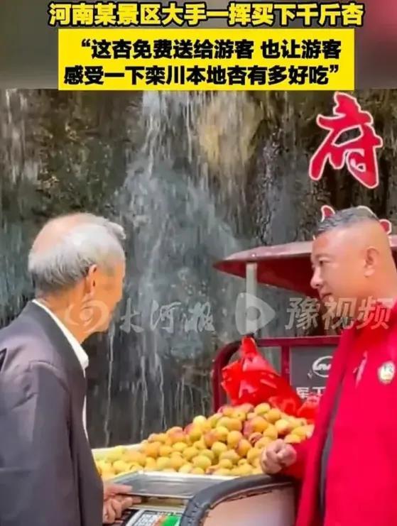 一觉醒来河南文旅又上分了！6月9日，河南洛阳栾川一位77岁的老人，独自推着一车杏