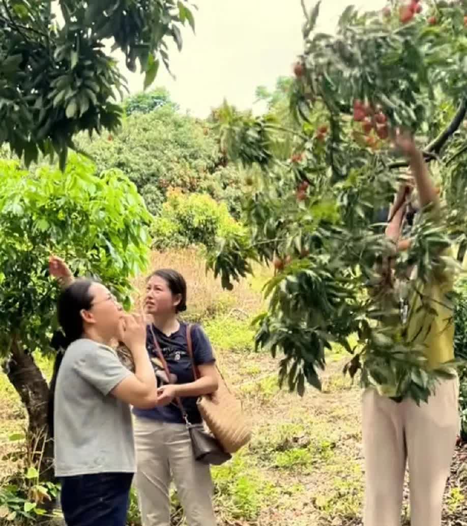 真替红姐叫冤，红姐只是跟韦籁妈妈说了一句话，就有人说红姐这是在指挥人了，真是太逗