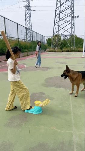 这一棍子下去狗牙不得干碎喽？[泪奔]