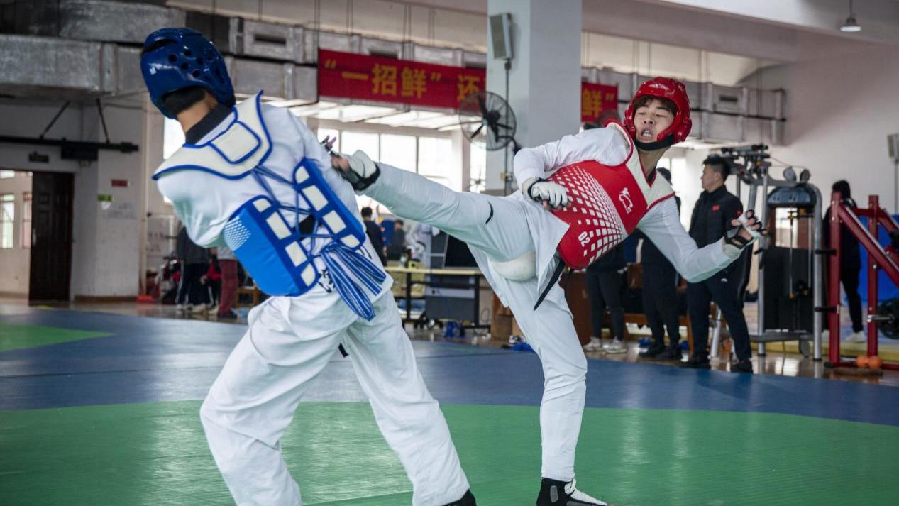 南北交流促提升 红色基因铸武魂—— 洛阳跆拳道队赴广东惠州开展外训交流