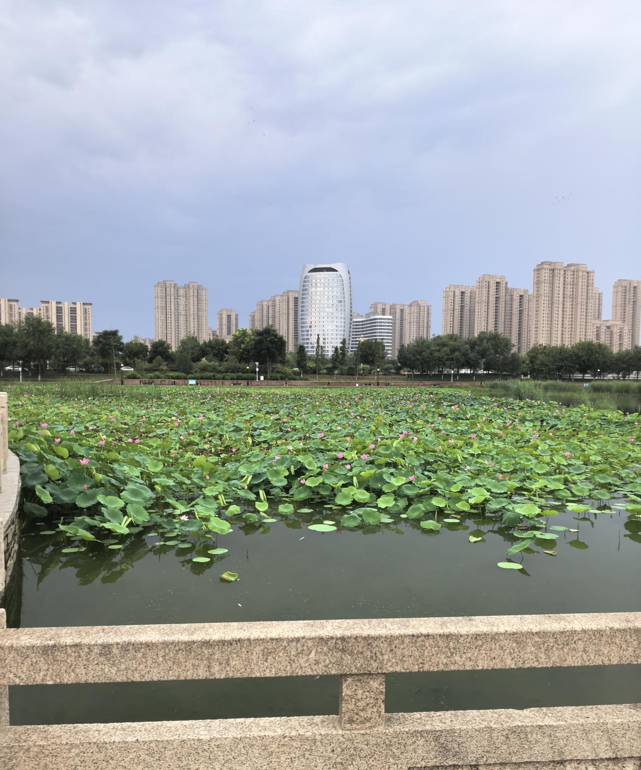 游览祖国大好河山[福][福][福][发][赞]赏新疆美景。必乘兴而去，满意而归。