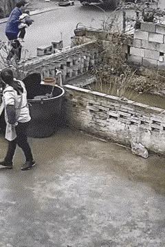 一头战斗猪，最终也逃脱不了盘中餐的宿命。