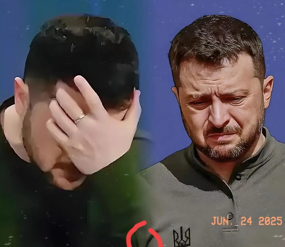 终于开口了，这次乌克兰正式宣布 

泽连斯基正式说想和俄总统会面了。原因很简单，