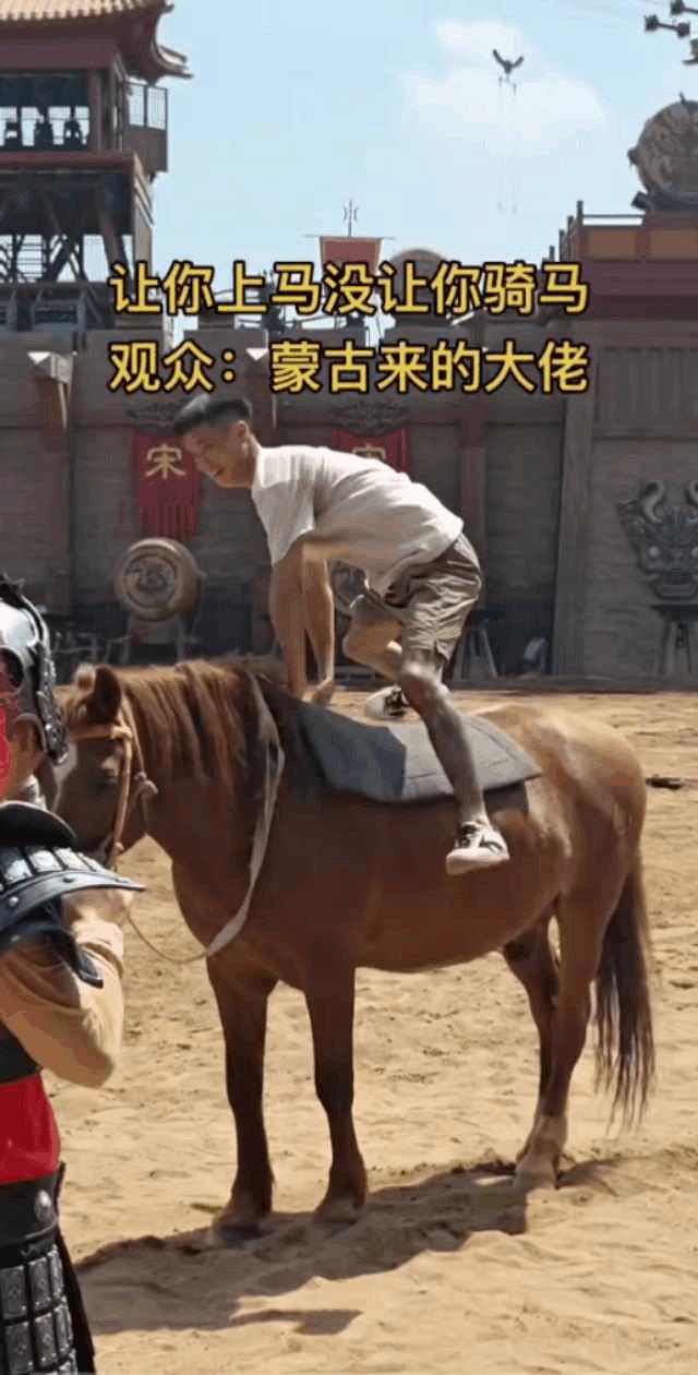 人家的肚子带弹簧，没有鞍和蹬很难骑的，这是高手！听说马能感觉出来骑它的人会不会骑