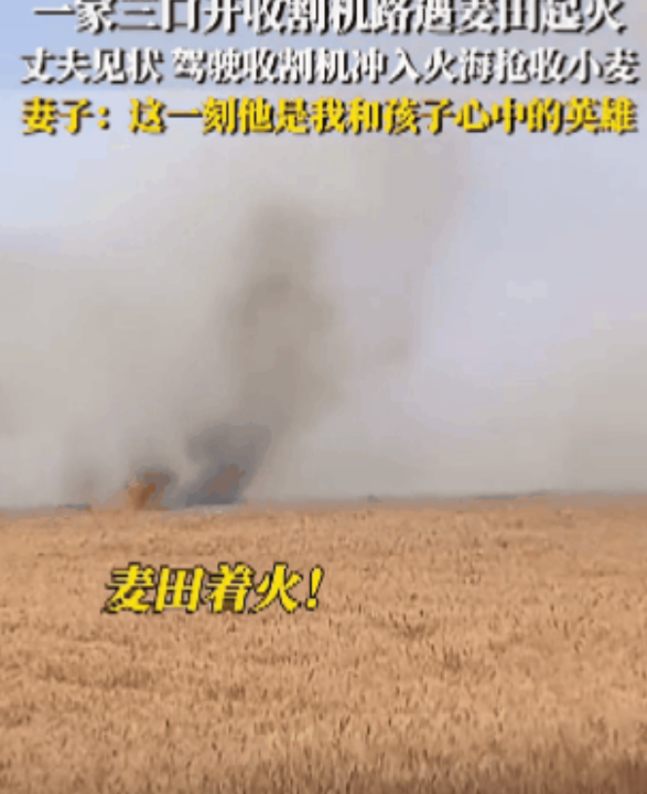 山东曹县，开收割机救麦子的小伙，

最好的回报来了，

不是被夸奖，不是被当地人