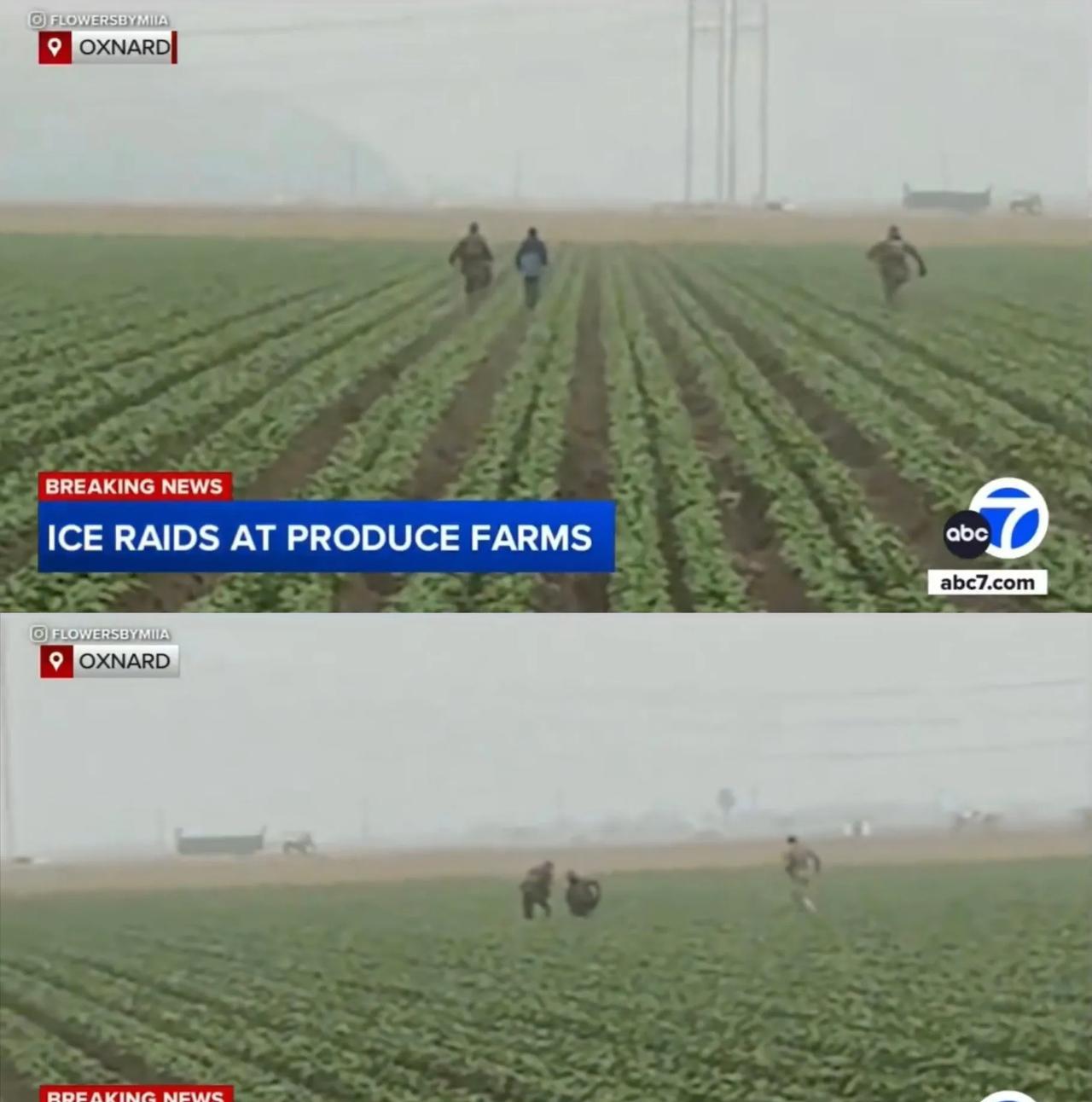 看来现在美国移民及海关执法局（ICE）抓人确实是有指标的，联邦特工甚至已经开始驾
