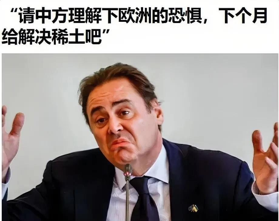 欧盟发出强烈呼吁！因为稀土管制，欧盟已经撑不住了，欧盟驻华大使公开喊话，乞求我们