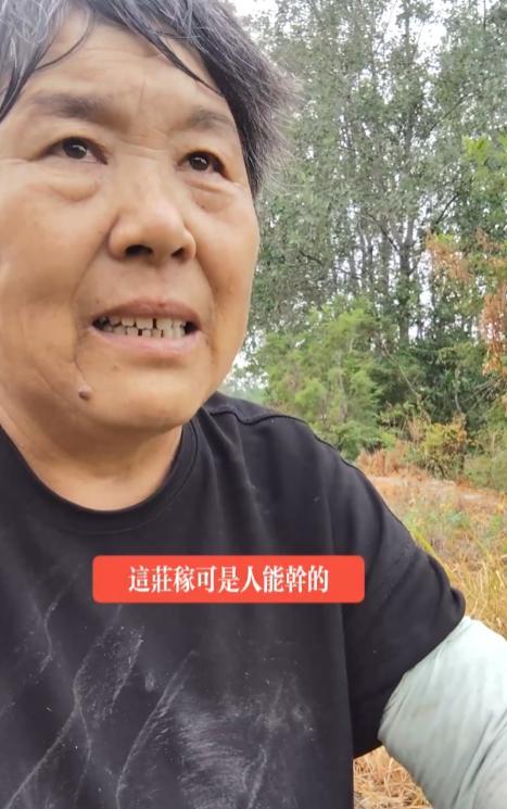 “宁愿去要饭，也不想种庄稼！”7月17日，安徽一老太抹泪分享：凌晨两点就起床，一