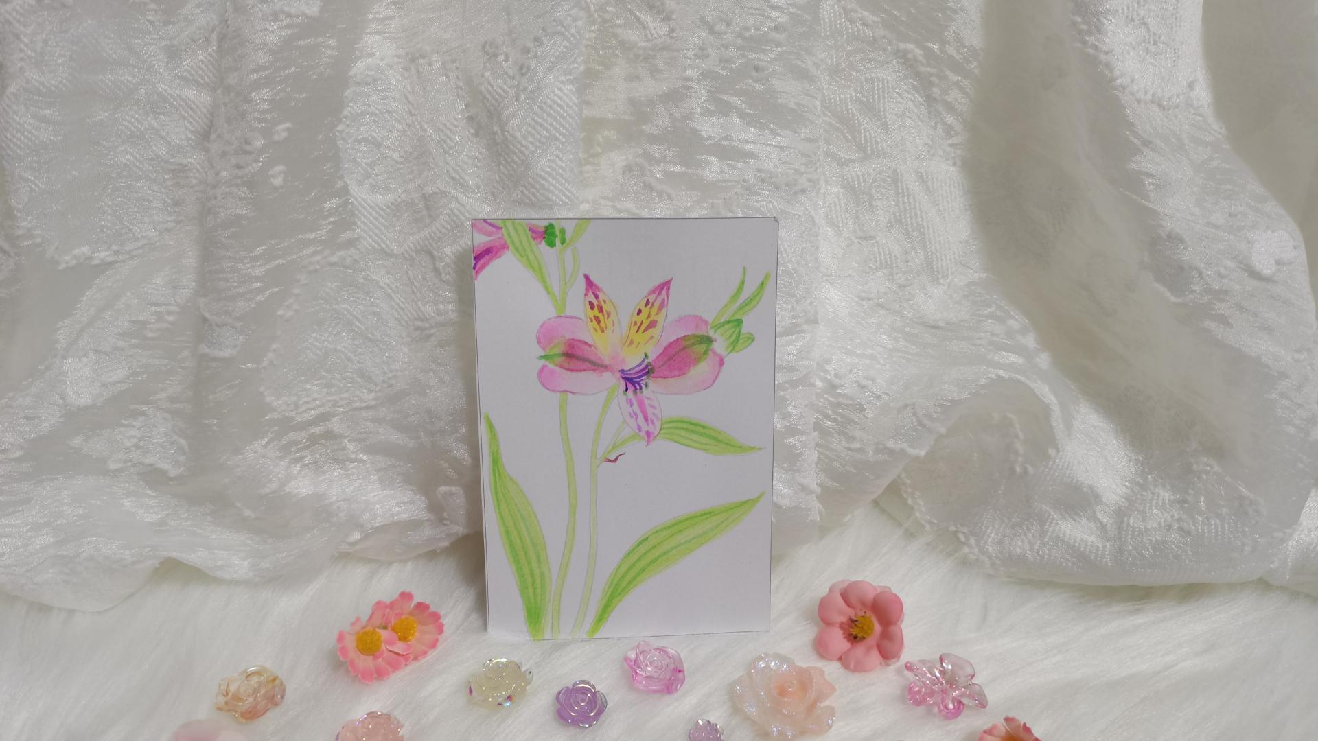 20 香水百合（绘画 水彩 果花甘06）