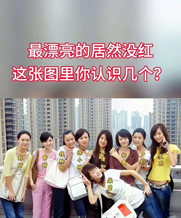 最漂亮的居然没红，这张图里你认识几个？
